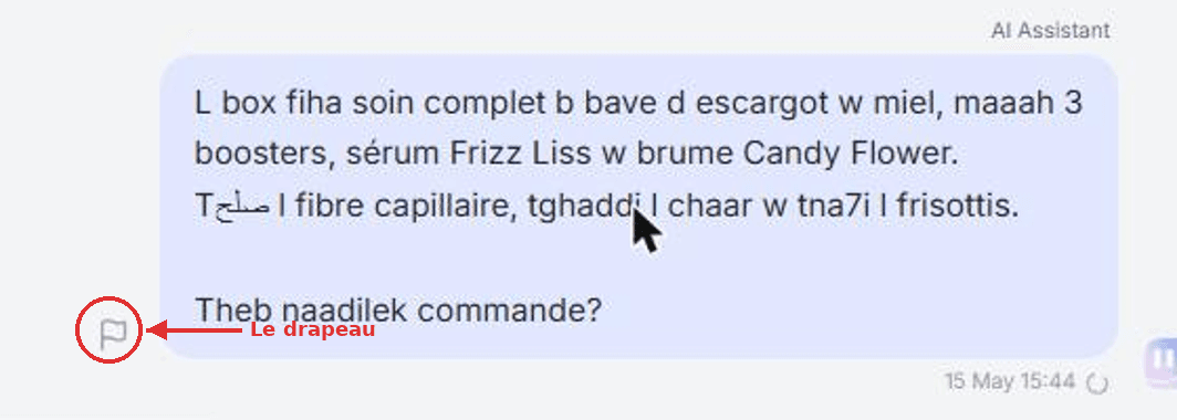 Au survol d'un message de l'agent, un drapeau apparaît à gauche (ici entouré en rouge).