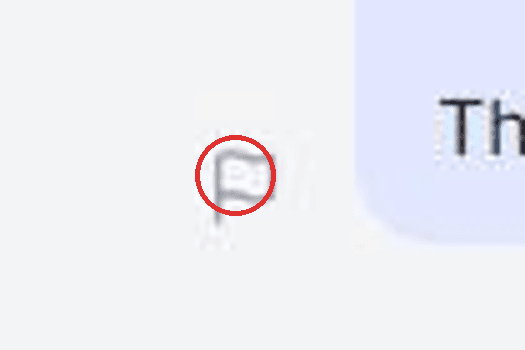 Gros plan sur le drapeau : le bouton sur lequel cliquer.